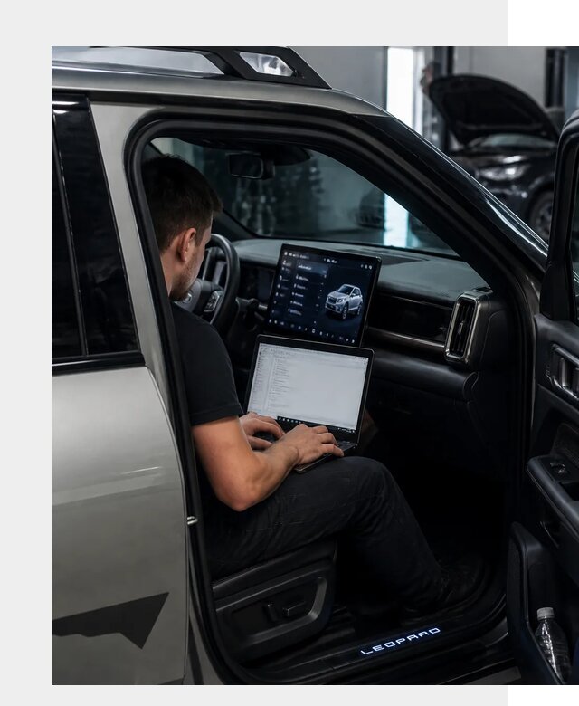 Русификация BYD Leopard 3 в Холмске по цене от 20439 р. | ФастМобиль-Хлм