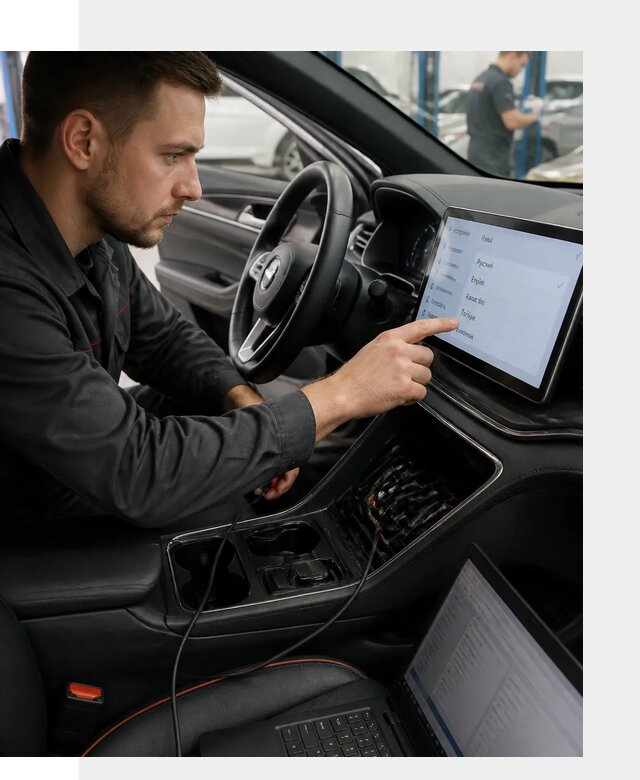 Профессиональная русификация BYD SONG Plus в Холмске
